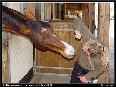 20031011_hardelot_034
