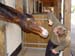 20031011_hardelot_034