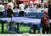 tennisdetable_01