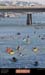 20050918_olryrando092