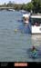 20050918_olryrando147