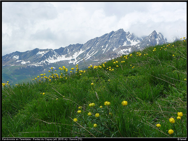 20040613_rando_lds04