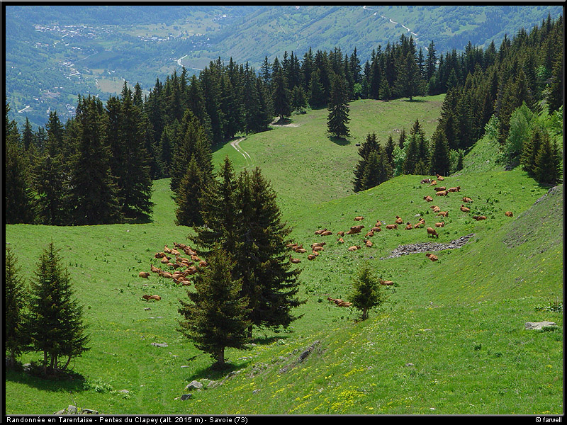 20040613_rando_lds06