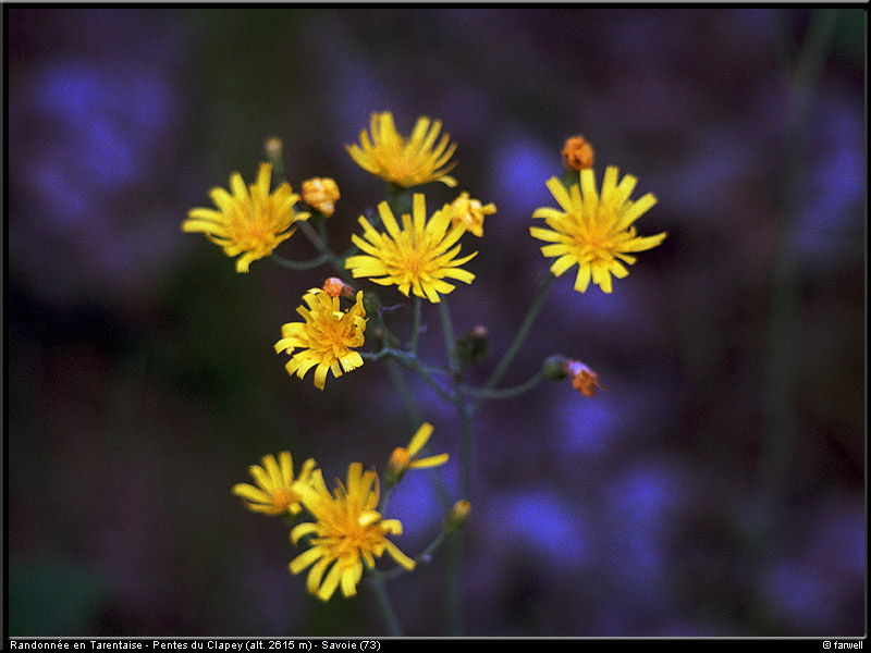 20040613_rando_lds08
