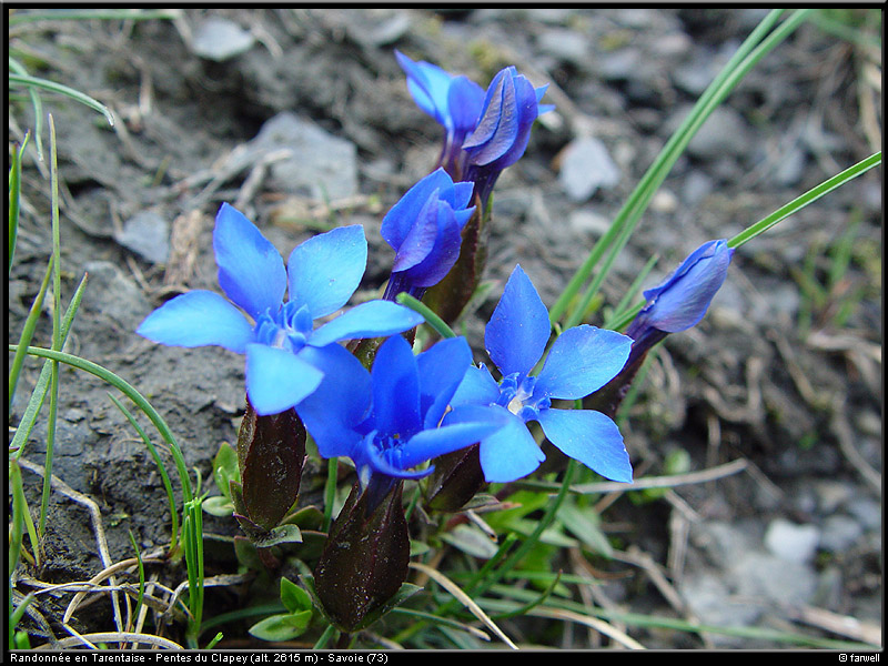 20040613_rando_lds09