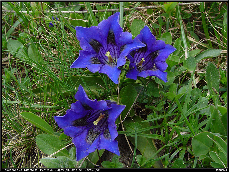 20040613_rando_lds10
