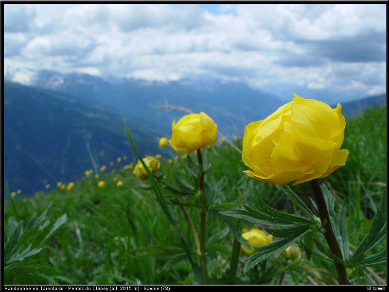 20040613_rando_lds12