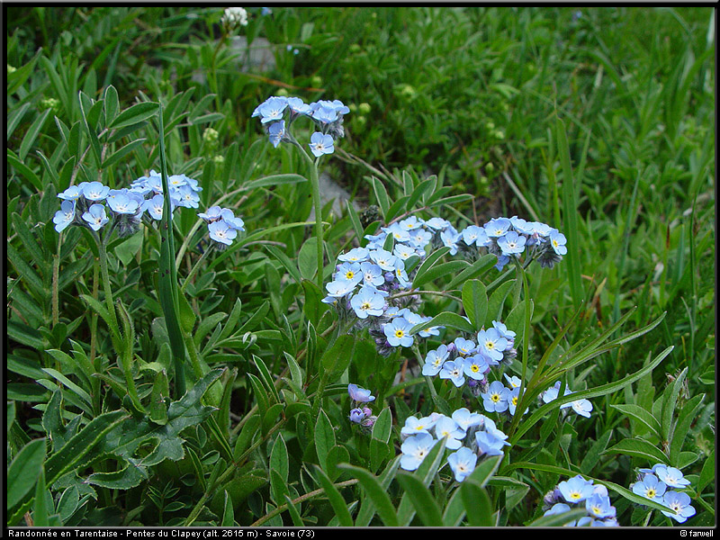 20040613_rando_lds13