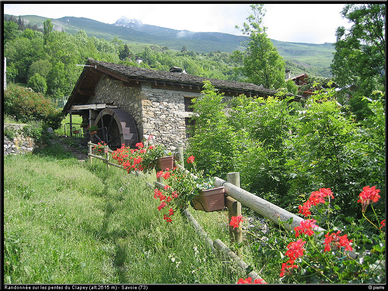 20040613b_lds_02
