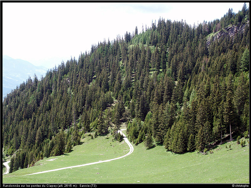 20040613b_lds_04
