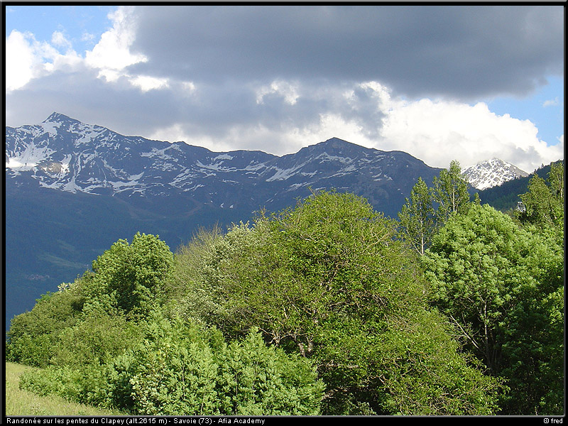20040613b_lds_05