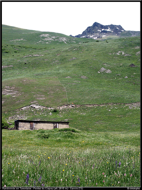 20040613b_lds_12