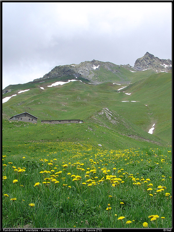 20040613b_lds_13