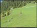 20040613_rando_02_03