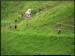 20040613_rando_04_02