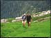 20040613_rando_04_04