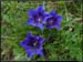 20040613_rando_lds10