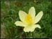 20040613_rando_lds11