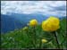 20040613_rando_lds12