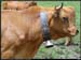 20040613b_lds_09